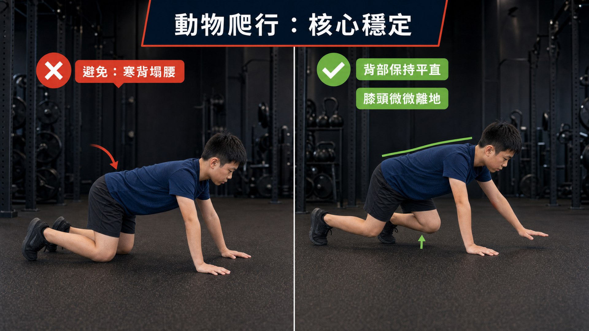 動物爬行核心穩定：避免寒背塌腰，背部保持平直並讓膝頭微微離地